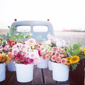 Meet your Posher, Kristyn